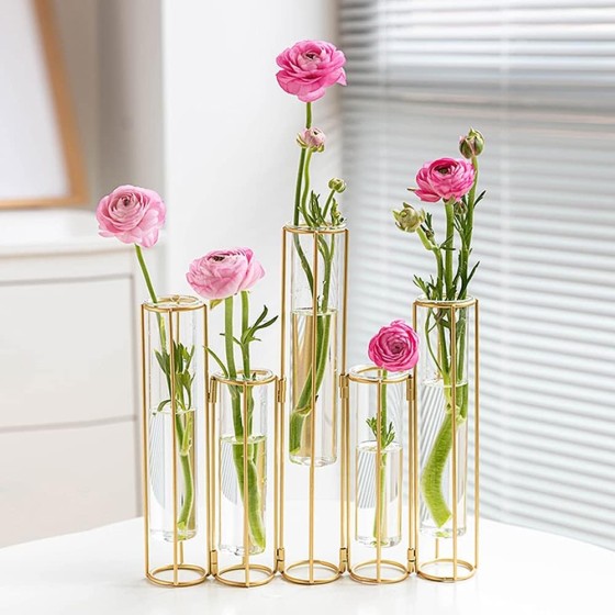 Test Tube Vase—Glass Hydroponic Test Tube Vase with Metal Stand (5-Piece Set), Gold Hinged Plant Display Vase, Tabletop Decorative Vase for Home Decor
